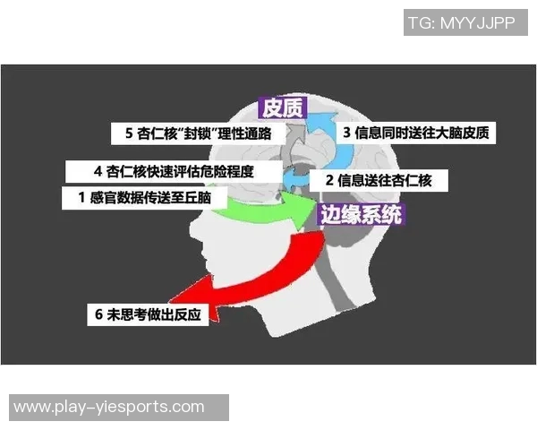数据分析BLG的意识表现及其对决策制定的影响探讨